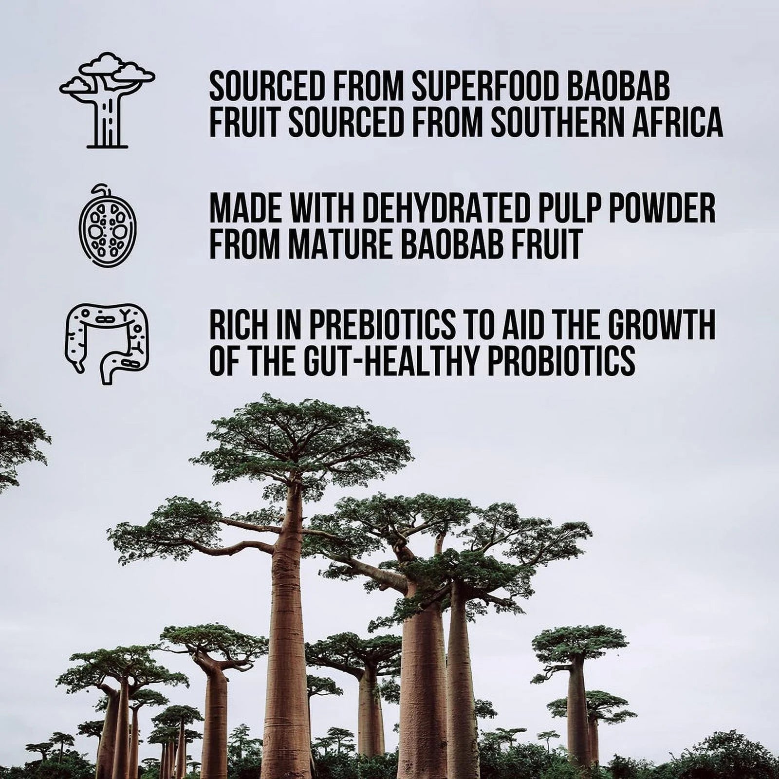 Naked Fiber Organic Baobab Powder Fiber Supplement